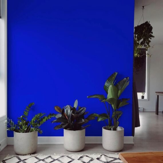 Peinture déco Bleu Majorelle 1L 4L ou en KIT Ornaretti