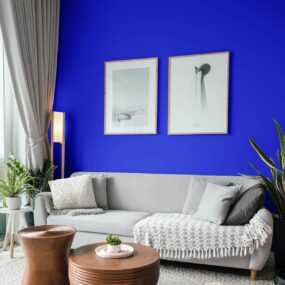 Un mur de salon avec peinture bleu majorelle